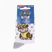 Шкарпетки PAW PATROL RUBEN білий, сірий Діт 19-22, арт.43890847-5 - 2