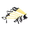 Координационная лестница LiveUp AGILITY LADDER (LS3671-4) - 3