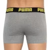 Труси-боксери Puma STATEMENT BOXER 2P жовтий, сірий Чол S - 5