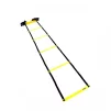 Координационная лестница LiveUp AGILITY LADDER (LS3671-4) - 8