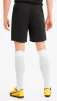 Шорти Puma teamGOAL 23 knit Shorts чорний Чол L - 4