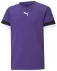 Футболка Puma teamRISE Jersey Jr фіолетовий Діт 176 см - 1