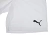 Шорти Puma teamRISE Short білий Чол L - 5