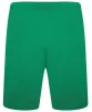 Шорти Puma teamRISE Short зелений Чол L - 3