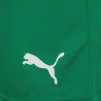 Шорти Puma teamRISE Short зелений Чол L - 4