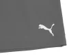 Шорти Puma teamRISE Short сірий Чол M - 3