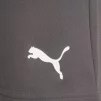 Шорти Puma teamRISE Short сірий Чол M - 6
