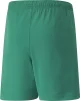 Шорти Puma teamRISE Short Jr зелений дитячий 116 см (704943-05) - 2