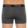 Труси-боксери Puma BIG LOGO AOP BOXER 2P темно-сірий, білий Чол M - 5