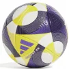 Футбольний м'яч Adidas Conext 25 PRO OMB (FIFA QUALITY PRO) JH1273 - 2