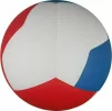 М'яч волейбольний Gala Pro-Line 12 FIVB BV5595S - 6