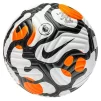 М'яч для футболу Nike Flight Premier League 2021 OMB (FIFA PRO) DC2209-100 - 1