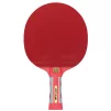 Ракетка для настільного тенісу Atemi FLAME - 4