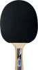 Ракетка для настільного тенісу Donic Legends Siler FSC - 2