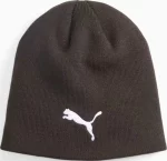 Шапка Puma indWINTERIZED Tech Beanie коричневий One Size (024943-01)