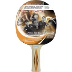 Ракетка для настільного тенісу Donic-Schildkrot Top Teams 300 new