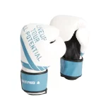 Перчатки для бокса LivePro SPARRING GLOVES (LP8600-12)