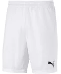 Шорти Puma teamGOAL 23 knit Shorts білий Чол L