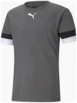 Футболка Puma teamRISE Jersey сірий Чол L
