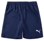 Шорти Puma teamRISE Short темно-синій Чол L
