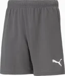 Шорти Puma teamRISE Short Jr сірий дитячий 116 см (704943-13)