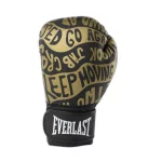Боксерські рукавиці Everlast SPARK TRAINING GLOVE чорний, золотий Уні 12 унцій
