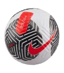 М'яч для футболу Nike Flight FA23 OMB (FIFA PRO) FB2901-100