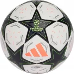 Футбольний м'яч adidas UCL Competition 24/25 Group Stage IX4061 №5