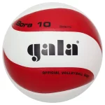 М'яч волейбольний Gala Bora BV5611S