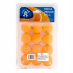 М'ячі для настільного тенісу Giant Dragon MT-6558-OR (12 шт.)