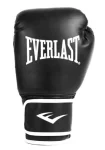 Боксерські рукавиці Everlast CORE 2 TRAINING GLOVE чорний Уні L/XL