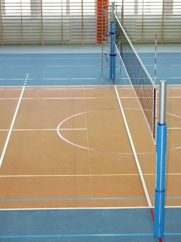 Сітка волейбольна Romi Sport "Професійна 2,7 мм.(PE)" Sia000022 black/blue