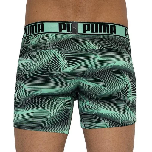 Труси-боксери Puma ACTIVE BOXER PRINT 2P зелений, чорний Чол S