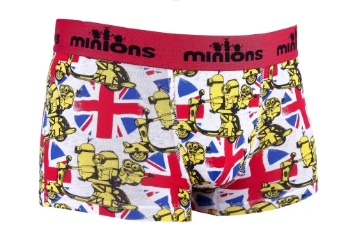 Труси-боксери MinionS ROUGE - SCOOTER сірий Чол 6-8