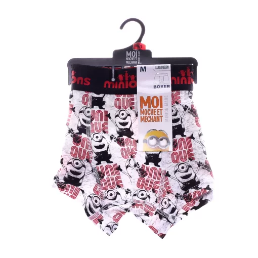 Труси-боксери MinionS Minion + GUITARE сірий Чол L