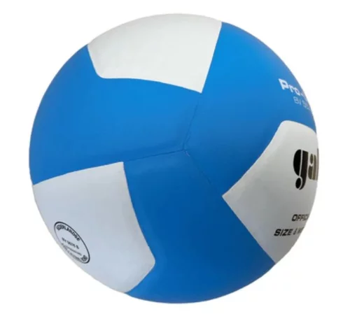 М'яч волейбольний Gala Pro-Line BV5576S