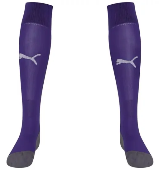 Гетри Puma Team LIGA Socks CORE бузковий Уні 43-46