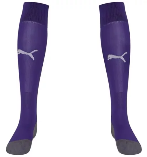 Гетри Puma Team LIGA Socks CORE бузковий Уні 31-34