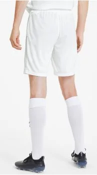 Шорти Puma teamGOAL 23 knit Shorts білий Чол M