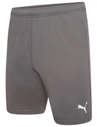 Шорти Puma teamRISE Short сірий Чол M