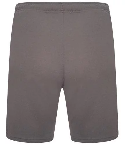 Шорти Puma teamRISE Short сірий Чол M