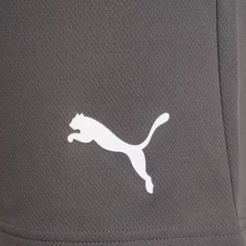 Шорти Puma teamRISE Short сірий Чол M