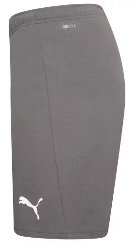 Шорти Puma teamRISE Short сірий Чол M