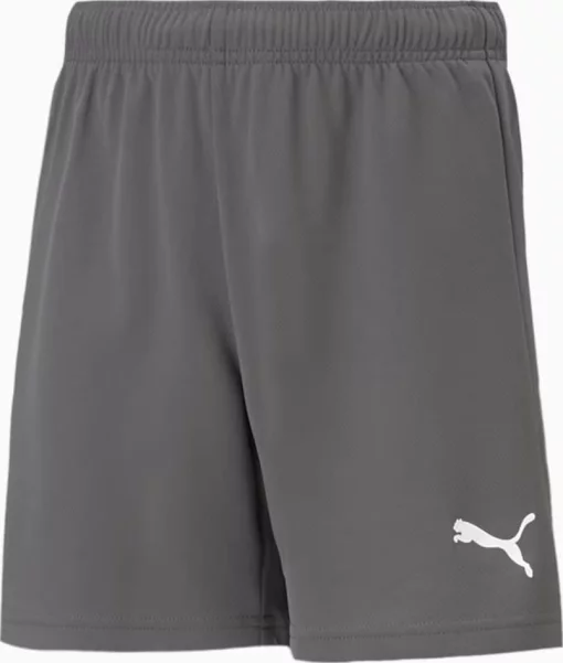 Шорти Puma teamRISE Short Jr сірий дитячий 116 см (704943-13)