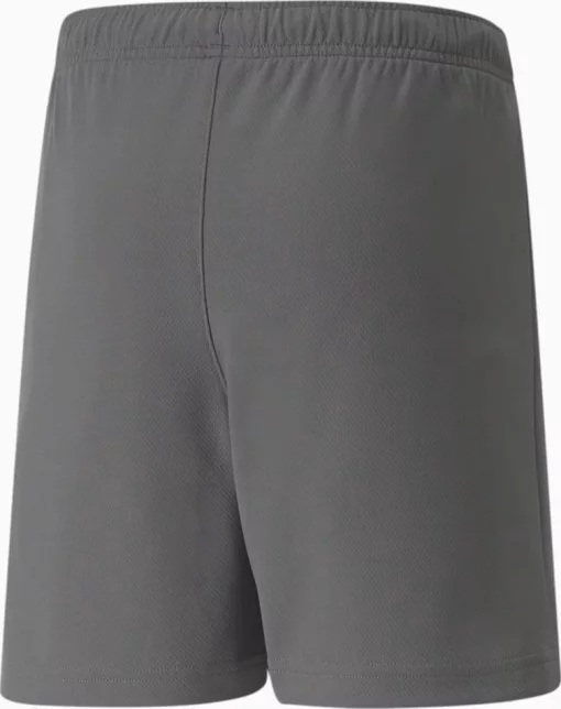 Шорти Puma teamRISE Short Jr сірий дитячий 116 см (704943-13)