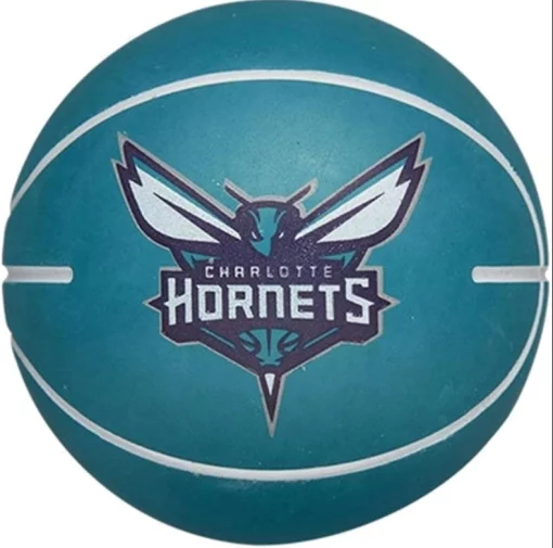 М'яч баскетбольний Wilson NBA DRIBBLER BSKT CHAR H