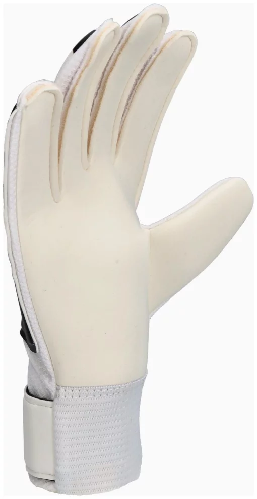 Воротарські рукавиці Nike NK GK MATCH JR - HO24 білий, чорний Діт 5 (15,6 см)