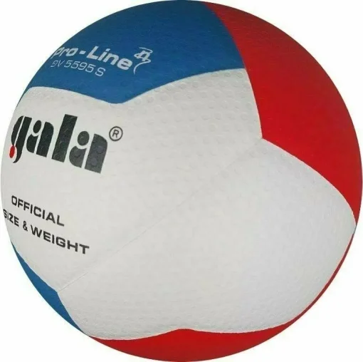 М'яч волейбольний Gala Pro-Line 12 FIVB BV5595S