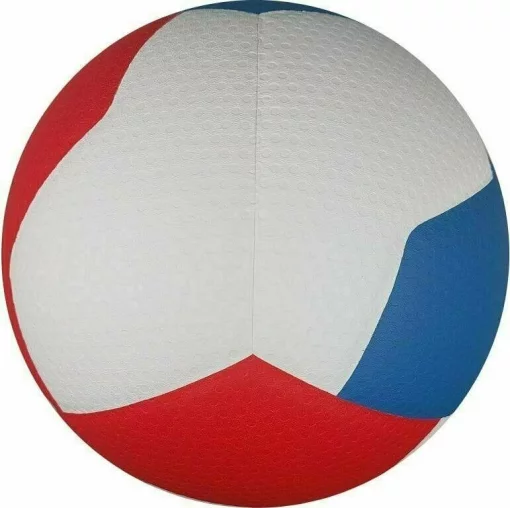 М'яч волейбольний Gala Pro-Line 12 FIVB BV5595S