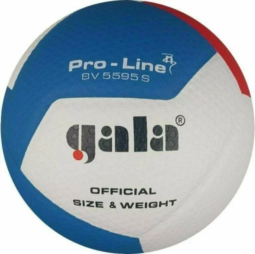 М'яч волейбольний Gala Pro-Line 12 FIVB BV5595S